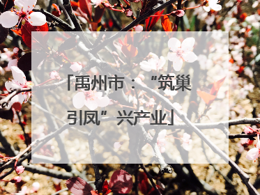 禹州市：“筑巢引凤”兴产业