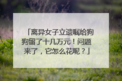 离异女子立遗嘱给狗狗留了十几万元！问题来了，它怎么花呢？