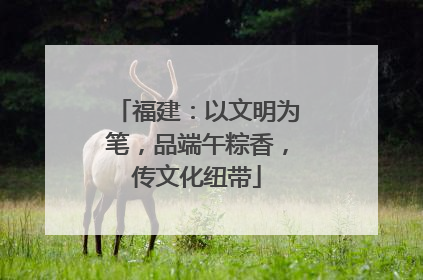 福建：以文明为笔，品端午粽香，传文化纽带