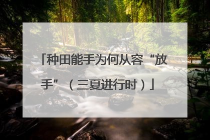 种田能手为何从容“放手”（三夏进行时）