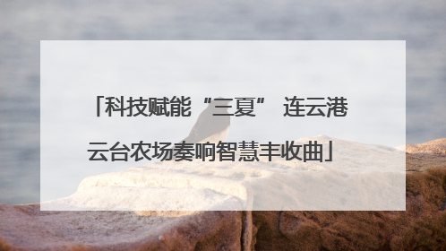 科技赋能“三夏” 连云港云台农场奏响智慧丰收曲