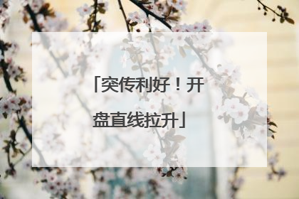 突传利好！开盘直线拉升