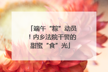 端午“粽”动员！内乡法院干警的甜蜜“食”光