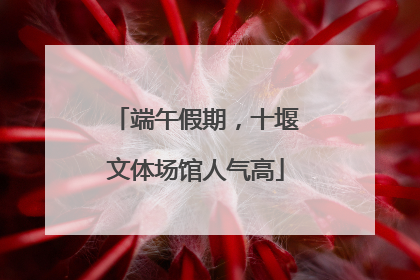 端午假期，十堰文体场馆人气高