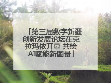 第三届数字新疆创新发展论坛在克拉玛依开幕 共绘AI赋能新图景