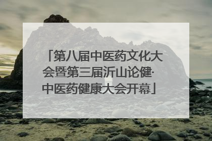 第八届中医药文化大会暨第三届沂山论健·中医药健康大会开幕