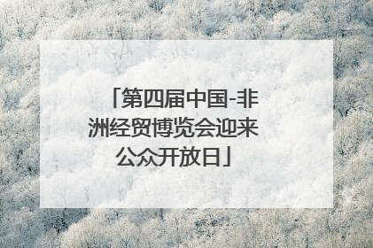第四届中国-非洲经贸博览会迎来公众开放日
