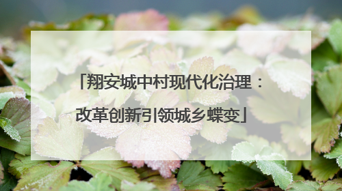 翔安城中村现代化治理：改革创新引领城乡蝶变