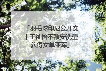 羽毛球印尼公开赛｜王祉怡不敌安洗莹 获得女单亚军