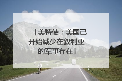 美特使：美国已开始减少在叙利亚的军事存在