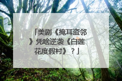 美剧《掩耳盗邻》凭啥逆袭《白莲花度假村》？