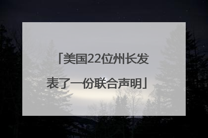 美国22位州长发表了一份联合声明