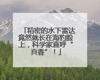 精密的水下雷达竟然就长在海豹脸上，科学家直呼“真香”！