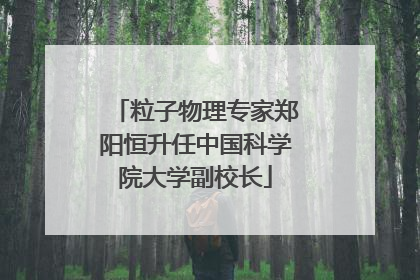 粒子物理专家郑阳恒升任中国科学院大学副校长
