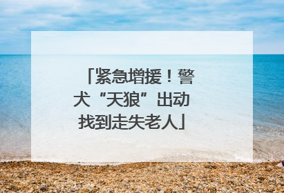 紧急增援！警犬“天狼”出动找到走失老人