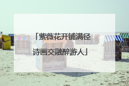 紫薇花开铺满径 诗画交融醉游人