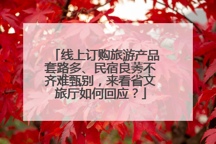线上订购旅游产品套路多、民宿良莠不齐难甄别，来看省文旅厅如何回应？