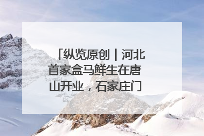 纵览原创｜河北首家盒马鲜生在唐山开业，石家庄门店预计8月开业