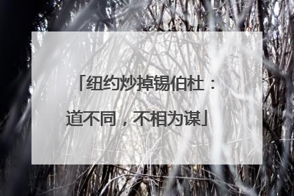 纽约炒掉锡伯杜：道不同，不相为谋