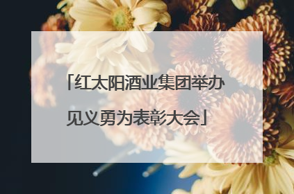 红太阳酒业集团举办见义勇为表彰大会