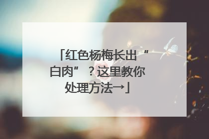 红色杨梅长出“白肉”？这里教你处理方法→
