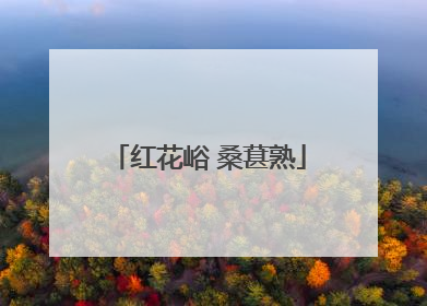 红花峪 桑葚熟
