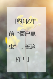 约1亿年前“僵尸昆虫”，长这样！