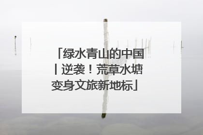 绿水青山的中国丨逆袭！荒草水塘变身文旅新地标