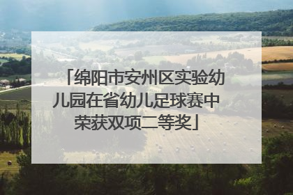 绵阳市安州区实验幼儿园在省幼儿足球赛中荣获双项二等奖