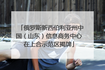 俄罗斯新西伯利亚州中国（山东）信息商务中心在上合示范区揭牌