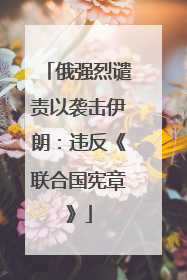 俄强烈谴责以袭击伊朗：违反《联合国宪章》
