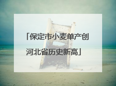 保定市小麦单产创河北省历史新高