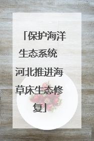 保护海洋生态系统 河北推进海草床生态修复