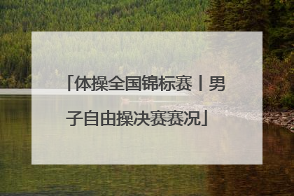 体操全国锦标赛丨男子自由操决赛赛况