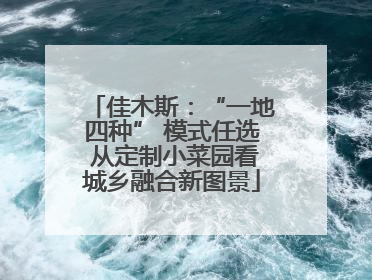 佳木斯：“一地四种” 模式任选 从定制小菜园看城乡融合新图景