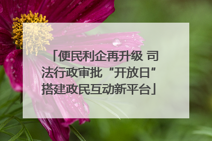 便民利企再升级 司法行政审批“开放日”搭建政民互动新平台