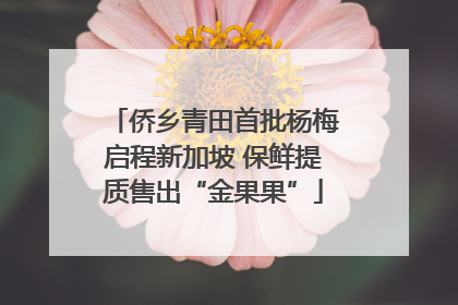 侨乡青田首批杨梅启程新加坡 保鲜提质售出“金果果”