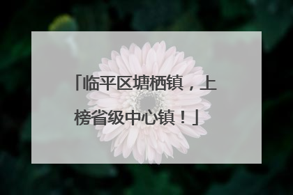 临平区塘栖镇，上榜省级中心镇！