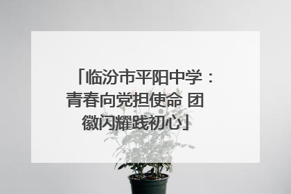 临汾市平阳中学：青春向党担使命 团徽闪耀践初心