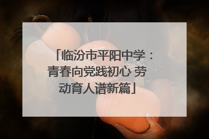 临汾市平阳中学：青春向党践初心 劳动育人谱新篇