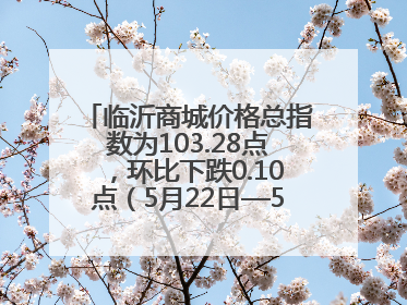 临沂商城价格总指数为103.28点，环比下跌0.10点（5月22日—5月28日）