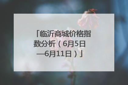 临沂商城价格指数分析（6月5日—6月11日）