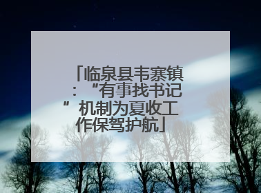 临泉县韦寨镇：“有事找书记”机制为夏收工作保驾护航