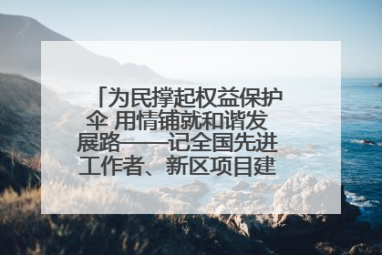 为民撑起权益保护伞 用情铺就和谐发展路——记全国先进工作者、新区项目建设中心干部卢小勇