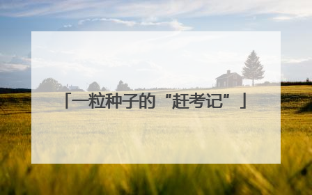 一粒种子的“赶考记”