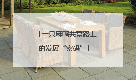 一只麻鸭共富路上的发展“密码”