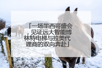 一场墨西哥盛会，见证远大智能博林特电梯与拉美代理商的双向奔赴