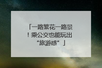 一路繁花一路景！乘公交也能玩出“旅游感”