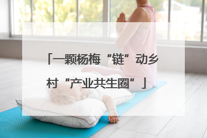 一颗杨梅“链”动乡村“产业共生圈”