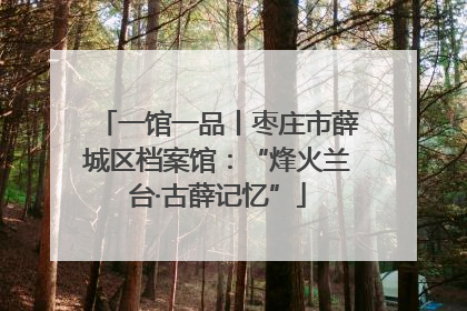 一馆一品丨枣庄市薛城区档案馆：“烽火兰台·古薛记忆”